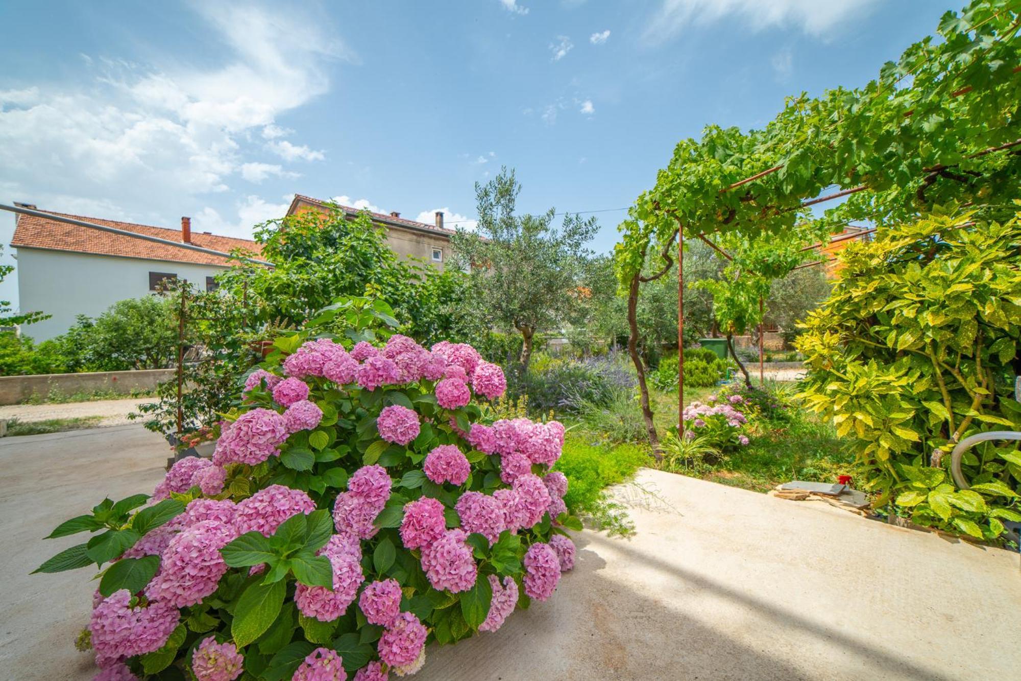 House Of Mile Hotel Zadar Exterior photo